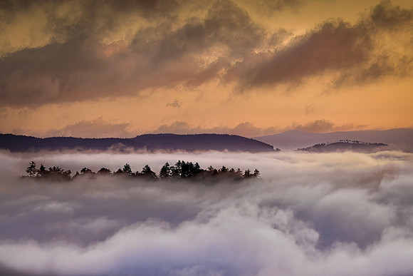 Island in the Sky