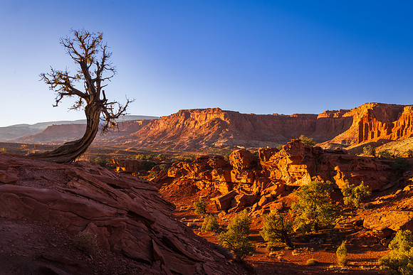 Capitol Reef NP Utah