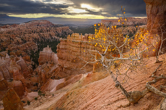 Bryce Canyon NP Utah