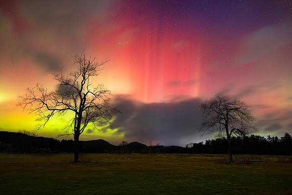 Aurora Alexandria