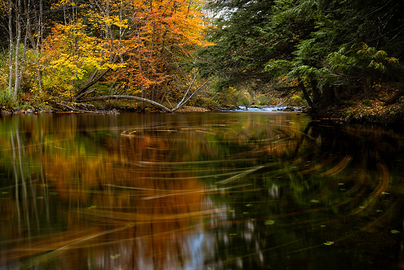 Autumn Swirl