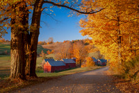 Jenne Farm