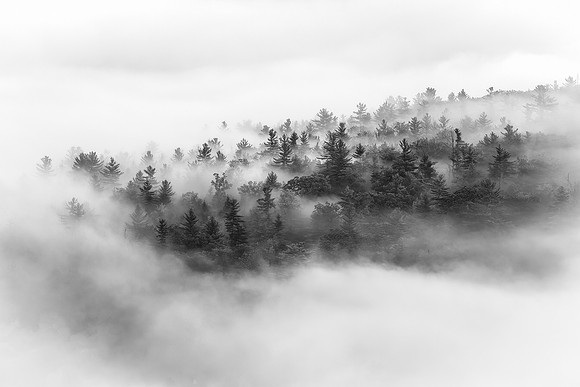 Inspiration Point