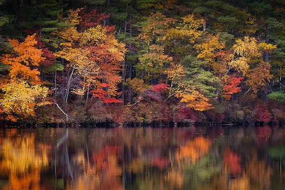 Chocorua Color