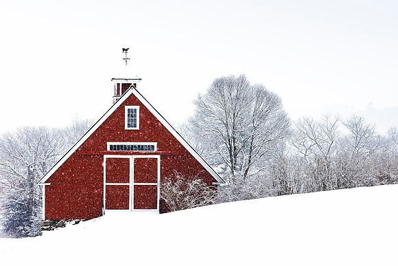 Hebron Snow