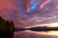 Newfound Red Dawn