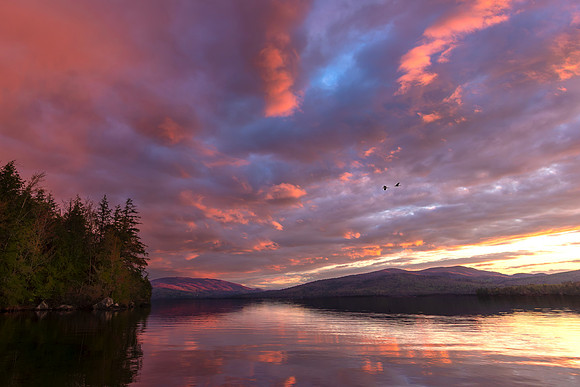 Newfound Red Dawn