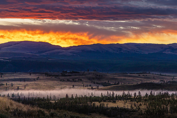 Yellowstone NP Morning Wyoming